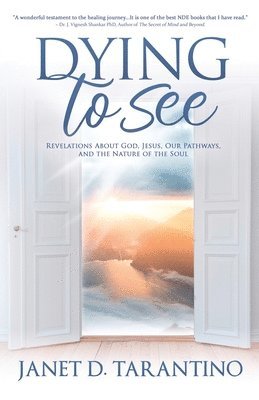 bokomslag Dying to See: Revelations About God, Jesus, Our Pathways, and The Nature of the Soul