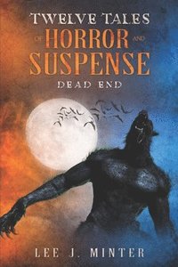 bokomslag Dead End: Twelve Tales Of Horror And Suspense