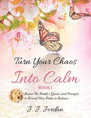 J J Jordan, J. J. Jordan, J. Jordan, J., Philip S Marks, Philip S. Marks, S. Marks, Philip - Turn Your Chaos Into Calm, Häftad