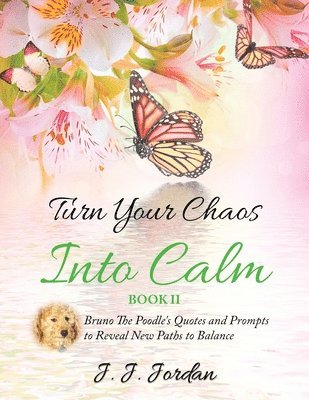 J J Jordan, J. J. Jordan, J. Jordan, J., Philip S Marks, Philip S. Marks, S. Marks, Philip - Turn Your Chaos Into Calm, Häftad