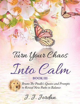 J J Jordan, J. J. Jordan, J. Jordan, J., Philip S Marks, Philip S. Marks, S. Marks, Philip - Turn Your Chaos Into Calm, Häftad