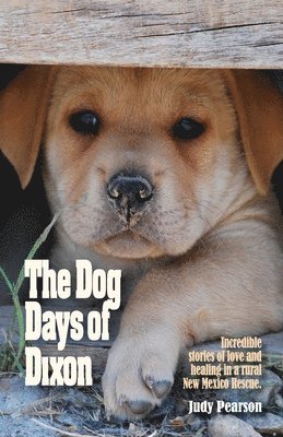 bokomslag The Dog Days of Dixon