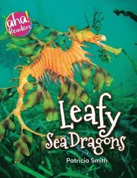 bokomslag Leafy Sea Dragons