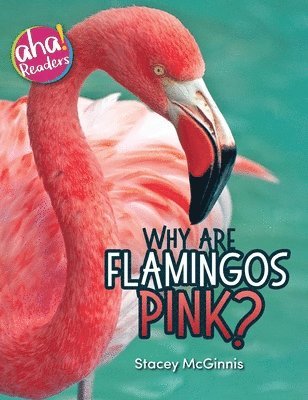 Why Are Flamingos Pink? 1