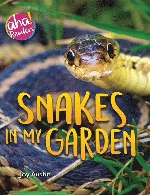 Snakes in My Garden 1