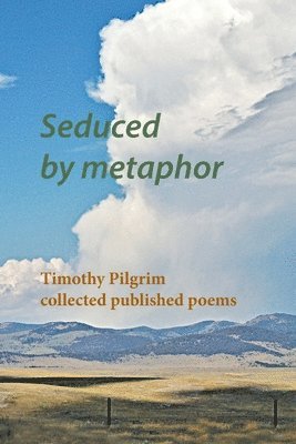 Seduced by metaphor 1