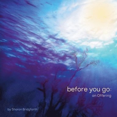 Sharon Bridgforth - before you go, Häftad