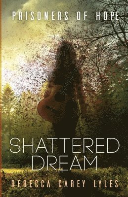 Shattered Dream 1