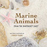 bokomslag Marine Animals: from the Northeast Coast