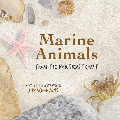 Marine Animals: from the Northeast Coast 1