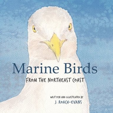 bokomslag Marine Birds