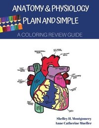 bokomslag Anatomy & Physiology Plain and Simple