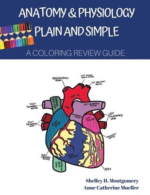 bokomslag Anatomy & Physiology Plain and Simple: A Coloring Review Guide