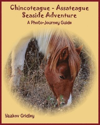 bokomslag Chincoteague-Assateague Seaside Adventure