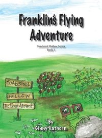 bokomslag Franklin's Flying Adventure