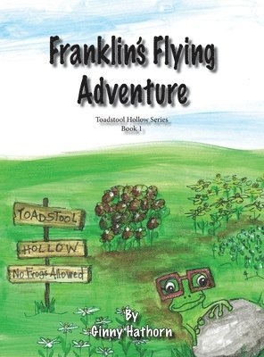 Franklin's Flying Adventure 1