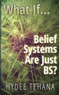 bokomslag What If...: Belief Systems Are Just BS?