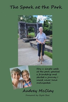 The Spark at the Park