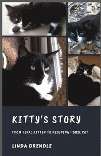 bokomslag Kitty's Story