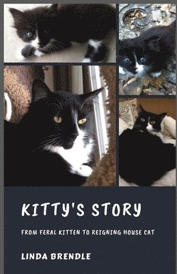 Kitty's Story 1