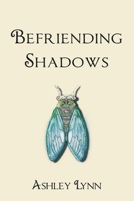 bokomslag Befriending Shadows