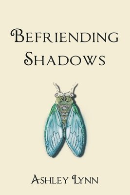 Befriending Shadows