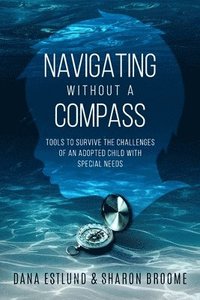 bokomslag Navigating Without a Compass: Tools to Survive the Challenges of an Adopted Child with Special Needs