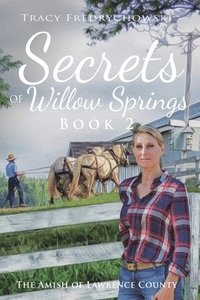 bokomslag Secrets of Willow Springs - Book 2