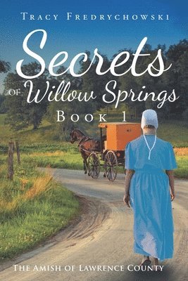 Tracy Fredrychowski - Secrets of Willow Springs - Book 1, Häftad