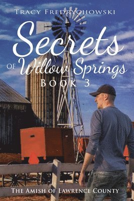 bokomslag Secrets of Willow Springs - Book 3