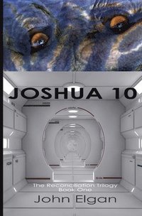 bokomslag Joshua 10