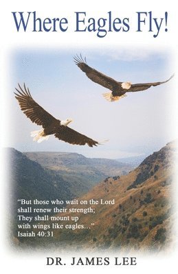 bokomslag Where Eagles Fly