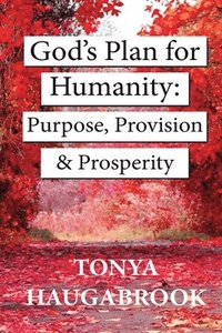 bokomslag God's Plan for Humanity: Purpose, Provision, and Prosperity