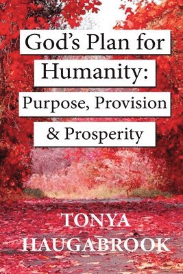God's Plan for Humanity: Purpose, Provision, and Prosperity 1