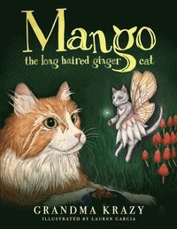bokomslag Mango The Long Haired Ginger Cat