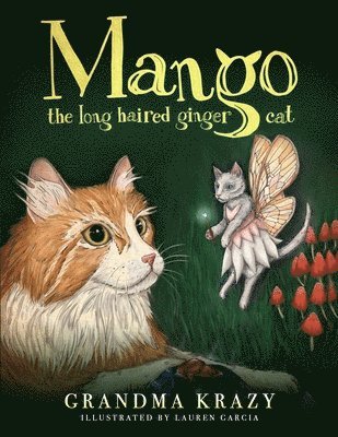 Mango The Long Haired Ginger Cat 1