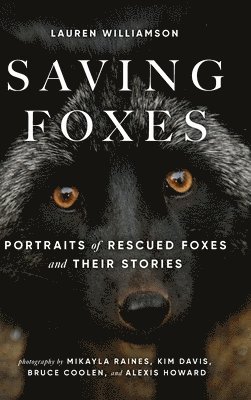 bokomslag Saving Foxes