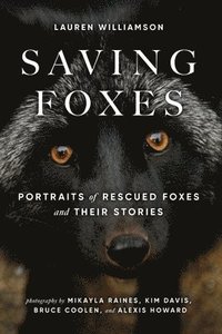 bokomslag Saving Foxes