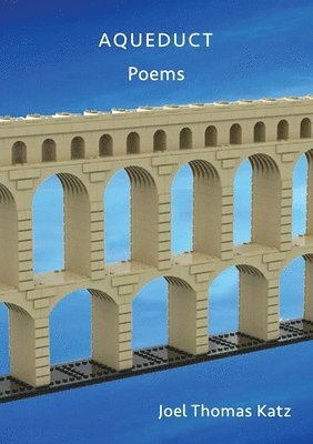 bokomslag Aqueduct