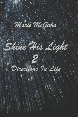 bokomslag Shine His Light 2: Directions In Life