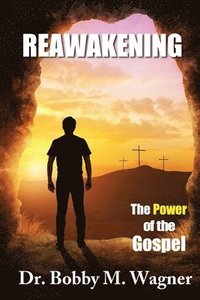 bokomslag ReAwakening