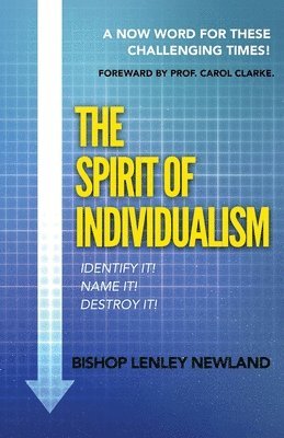 bokomslag The Spirit of Individualism