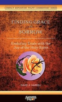 bokomslag Finding Grace in Sorrow