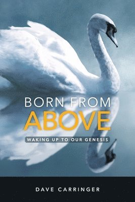 Born from Above 1