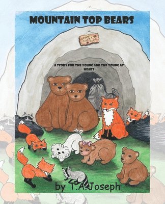 The Mountain Top Bears 1