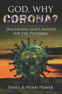 bokomslag God, Why Corona?: Discerning God's Reason For The Pandemic