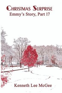 bokomslag Christmas Surprise: Emmy's Story, Part 17