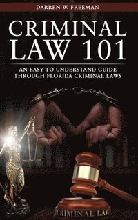 bokomslag Criminal Law 101