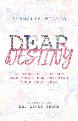 bokomslag Dear Destiny