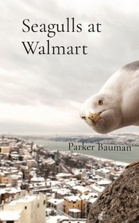 bokomslag Seagulls at Walmart